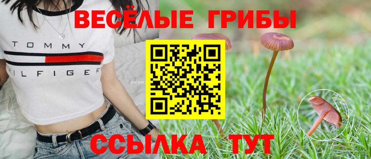 Галлюциногенные грибы мухоморы Чернушка